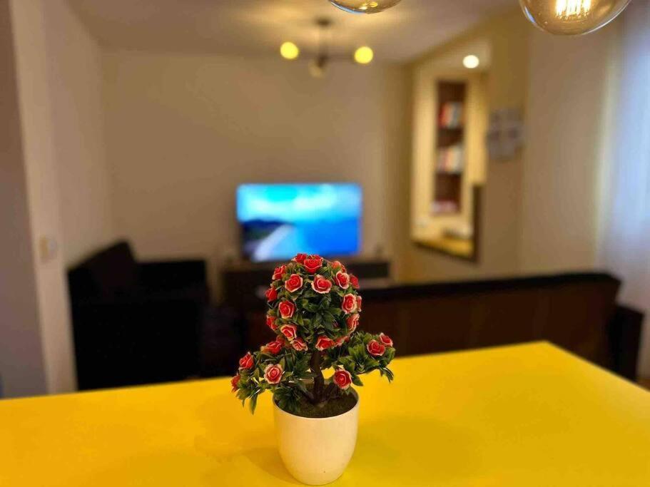 Ora-Prn,Peaceful Central Apartment بريشتاين المظهر الخارجي الصورة